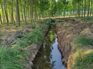 Canal en Landete